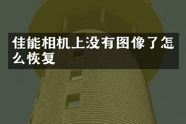 佳能相机上没有图像了怎么恢复