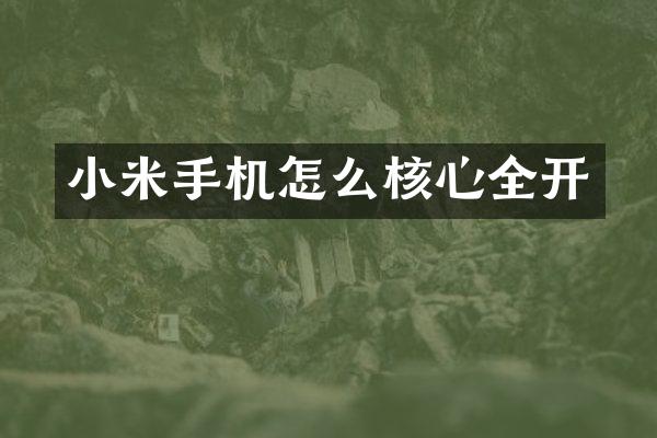 小米手机怎么核心全开