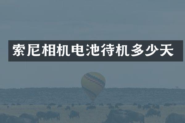相机电池待机多少天