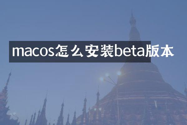 macos怎么安装beta版本