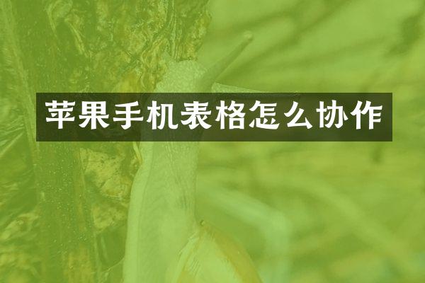 苹果手机表格怎么协作