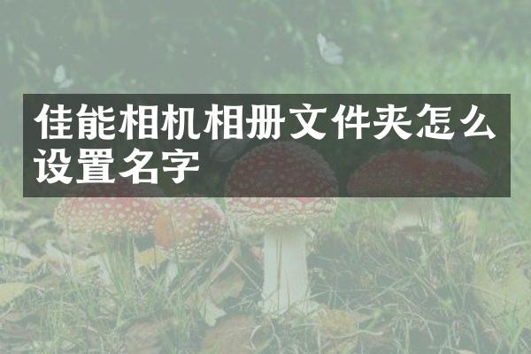 佳能相机相册文件夹怎么设置名字
