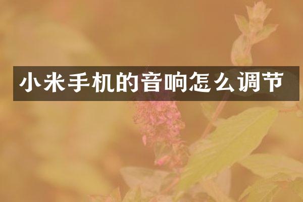 小米手机的音响怎么调节