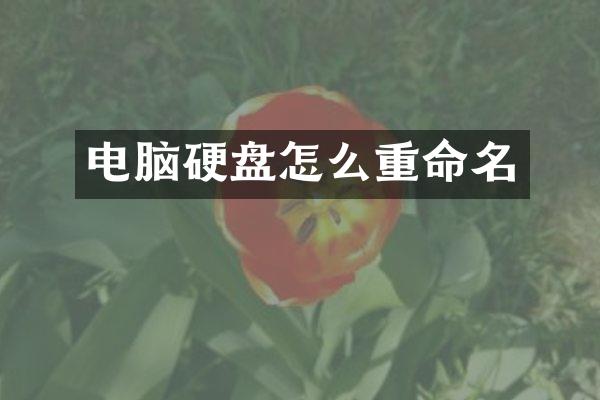 电脑硬盘怎么重命名