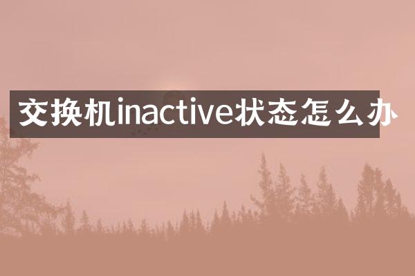 交换机inactive状态怎么办