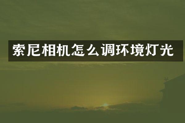 相机怎么调环境灯光