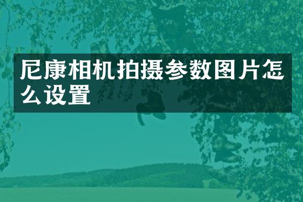 尼康相机拍摄参数图片怎么设置