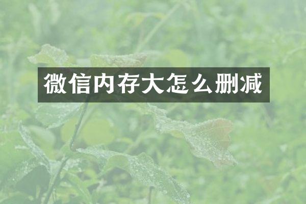 微信内存大怎么删减