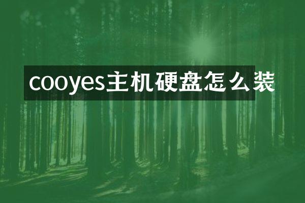 cooyes主机硬盘怎么装
