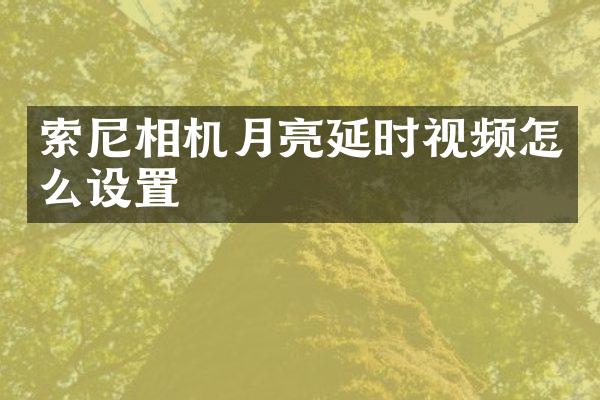 相机月亮延时视频怎么设置