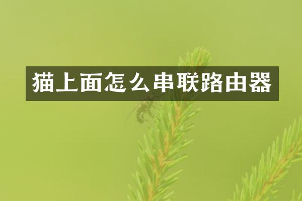 猫上面怎么串联路由器