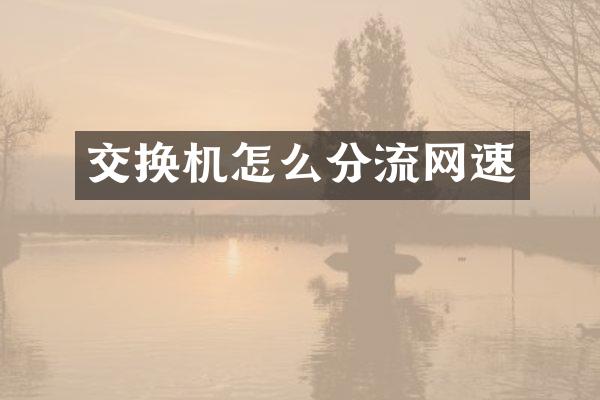 交换机怎么分流网速