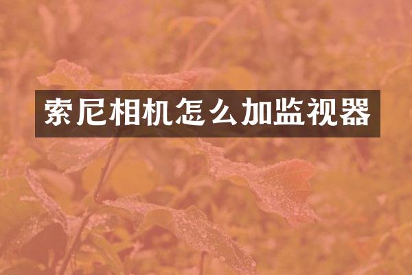 相机怎么加监视器