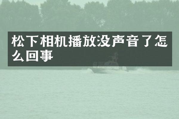 相机播放没声音了怎么回事