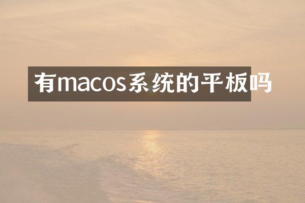 有macos系统的平板吗