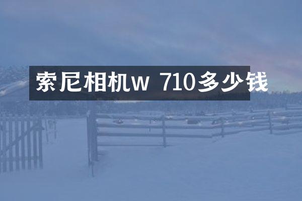 相机w 710多少钱