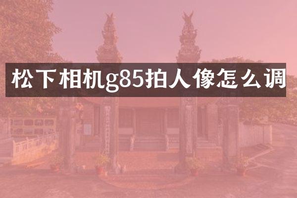 相机g85拍人像怎么调