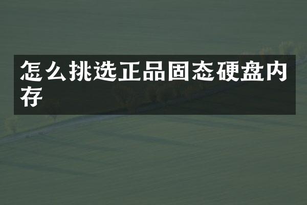 怎么挑选正品固态硬盘内存
