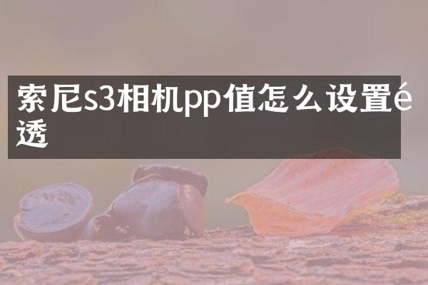 s3相机pp值怎么设置通透