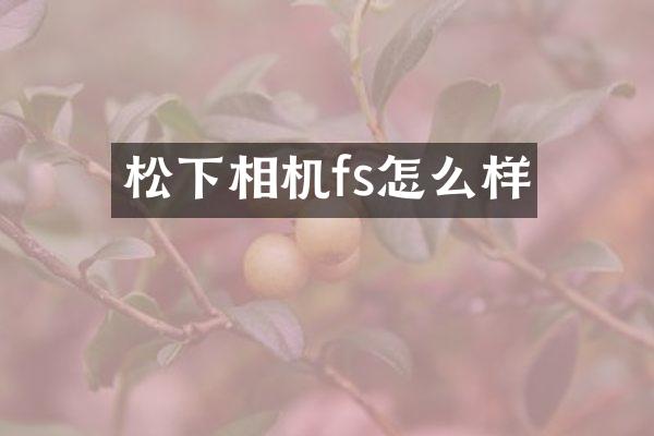 相机fs怎么样