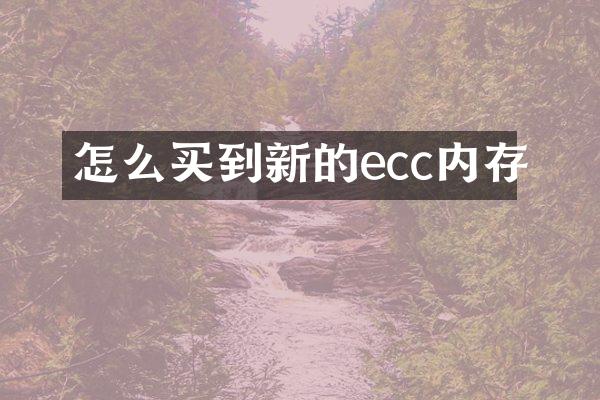 怎么买到新的ecc内存