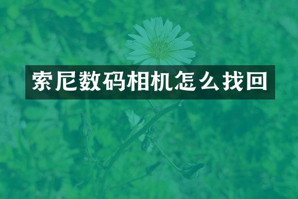 数码相机怎么找回
