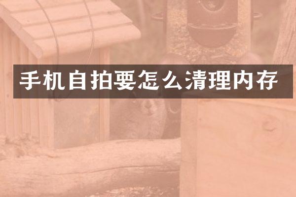 手机要怎么清理内存