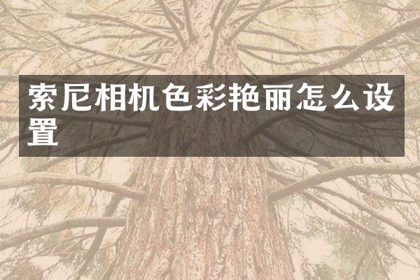 相机色彩艳丽怎么设置