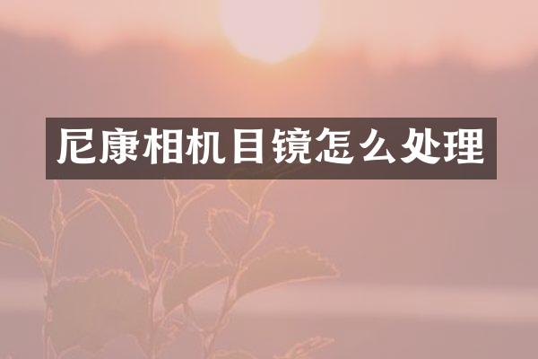 尼康相机目镜怎么处理