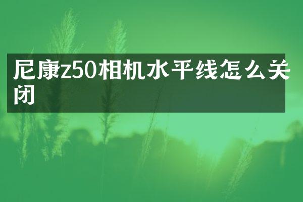 尼康z50相机水平线怎么关闭