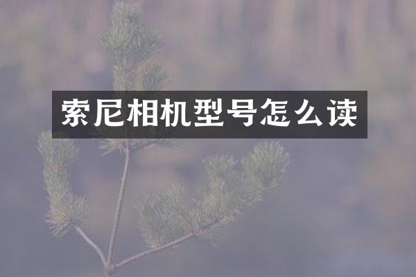 相机型号怎么读