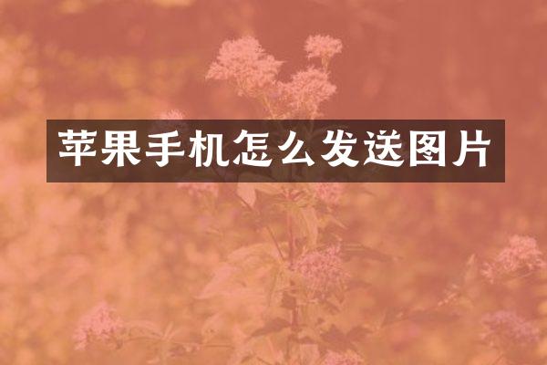 苹果手机怎么发送图片