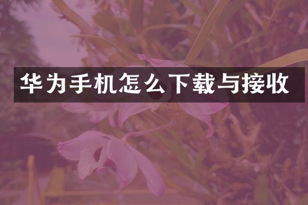华为手机怎么下载与接收