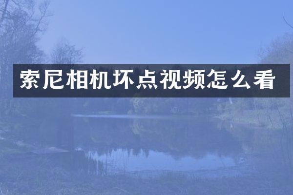 相机坏点视频怎么看