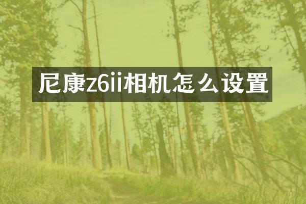 尼康z6ii相机怎么设置