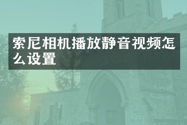 相机播放静音视频怎么设置