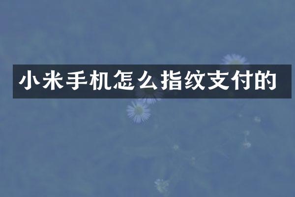 小米手机怎么指纹支付的