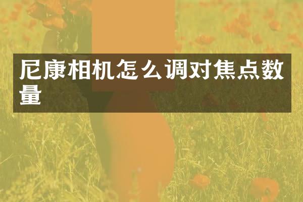 尼康相机怎么调对焦点数量