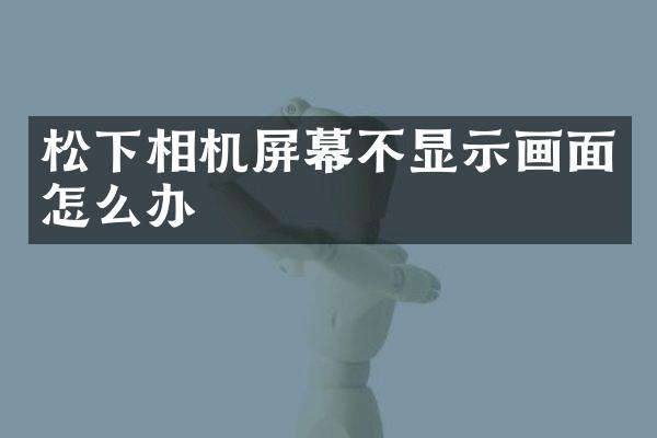 相机屏幕不显示画面怎么办