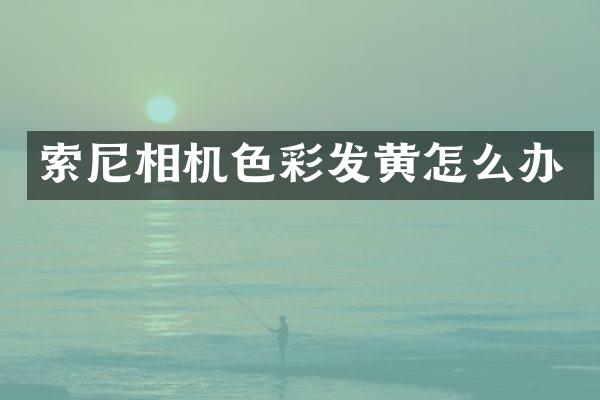 相机色彩发黄怎么办