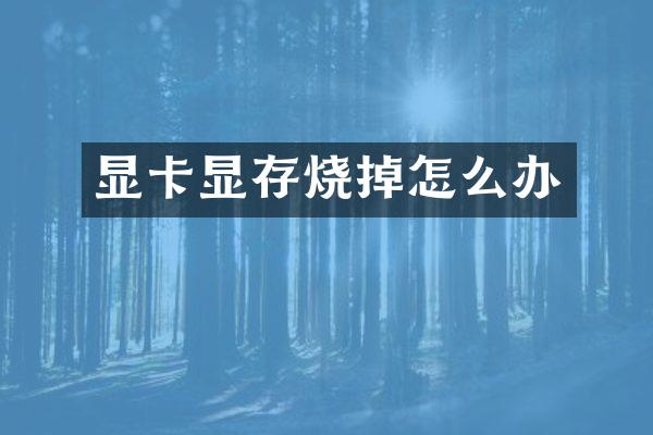 显卡显存烧掉怎么办