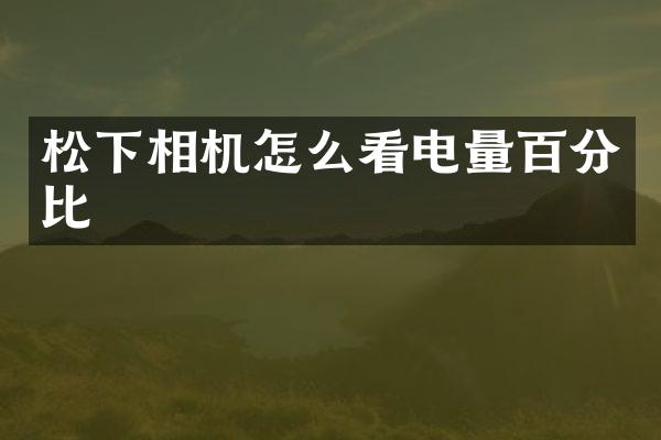 相机怎么看电量百分比