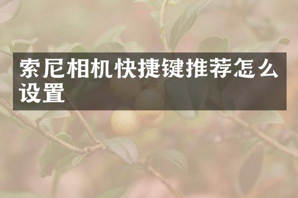 相机快捷键推荐怎么设置