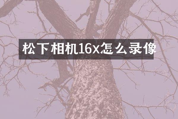 相机16x怎么录像