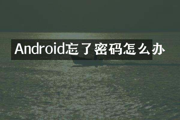 Android忘了密码怎么办