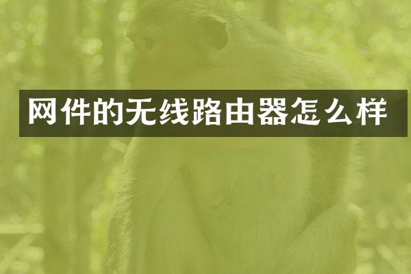 网件的无线路由器怎么样