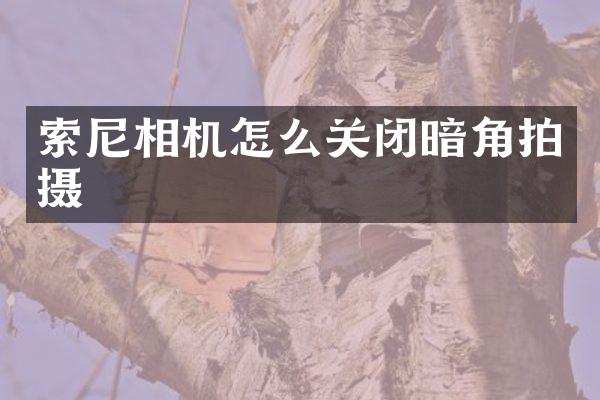 相机怎么关闭暗角拍摄