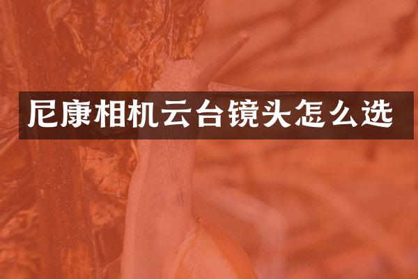 尼康相机云台镜头怎么选