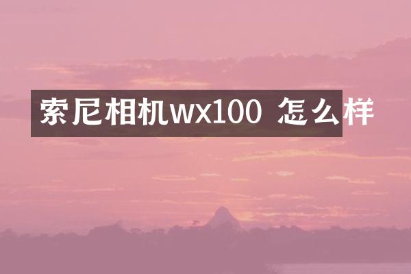 相机wx100 怎么样