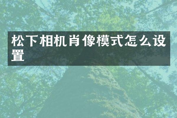 相机肖像模式怎么设置